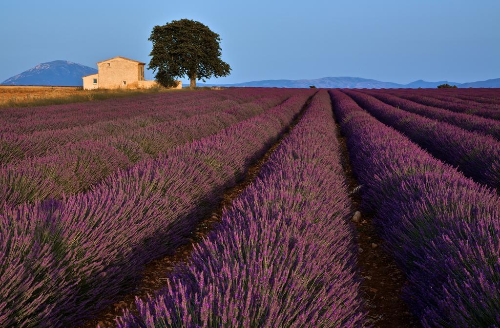 La Maison Des Collines Hotel Allemagne-en-Provence Eksteriør billede
